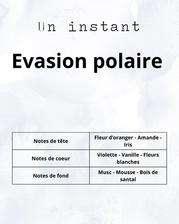 Evasion polaire