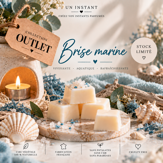 Brise marine