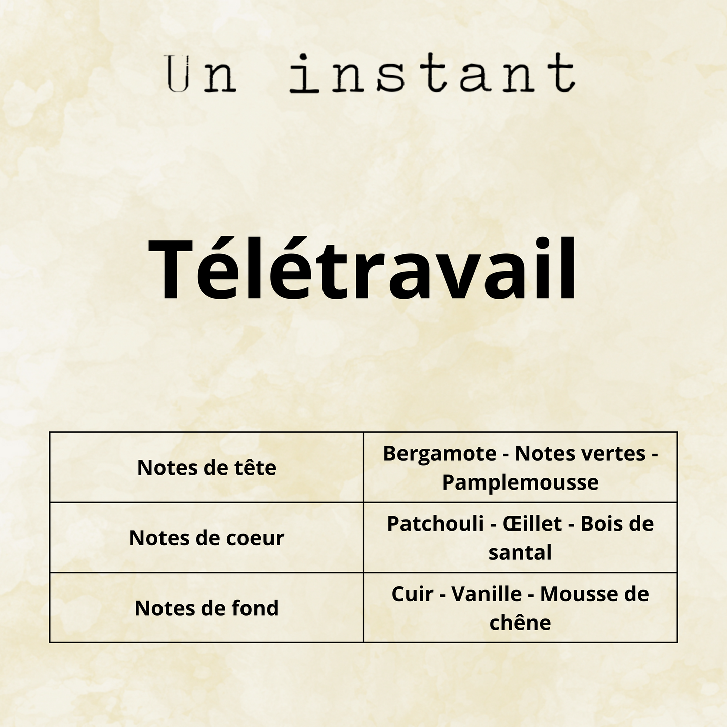Télétravail