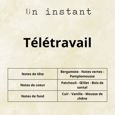 Télétravail