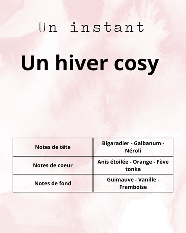 Un hiver cosy